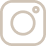 Ícone Instagram